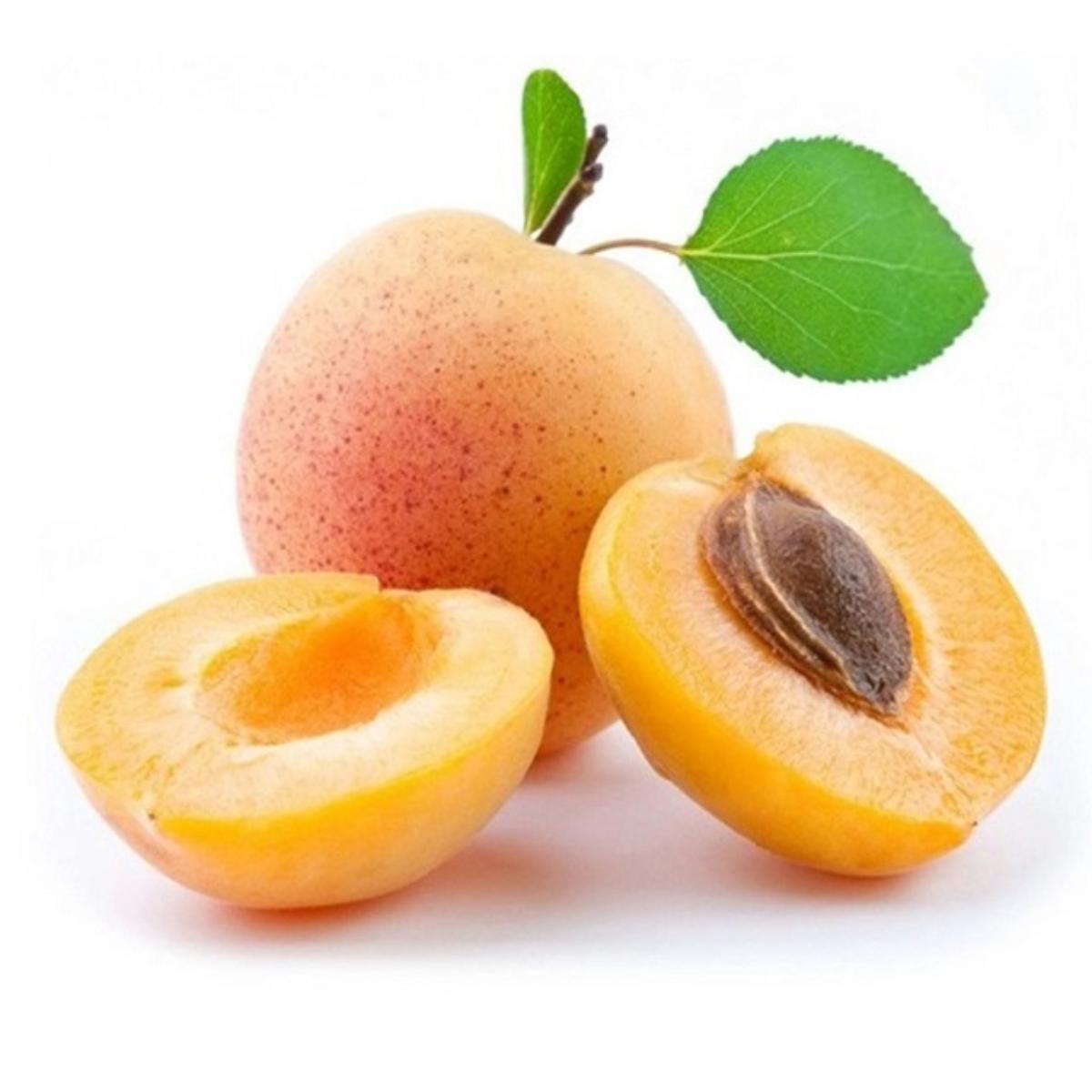 Apricot