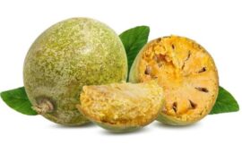 Bael Fruit