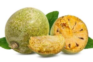 Bael Fruit
