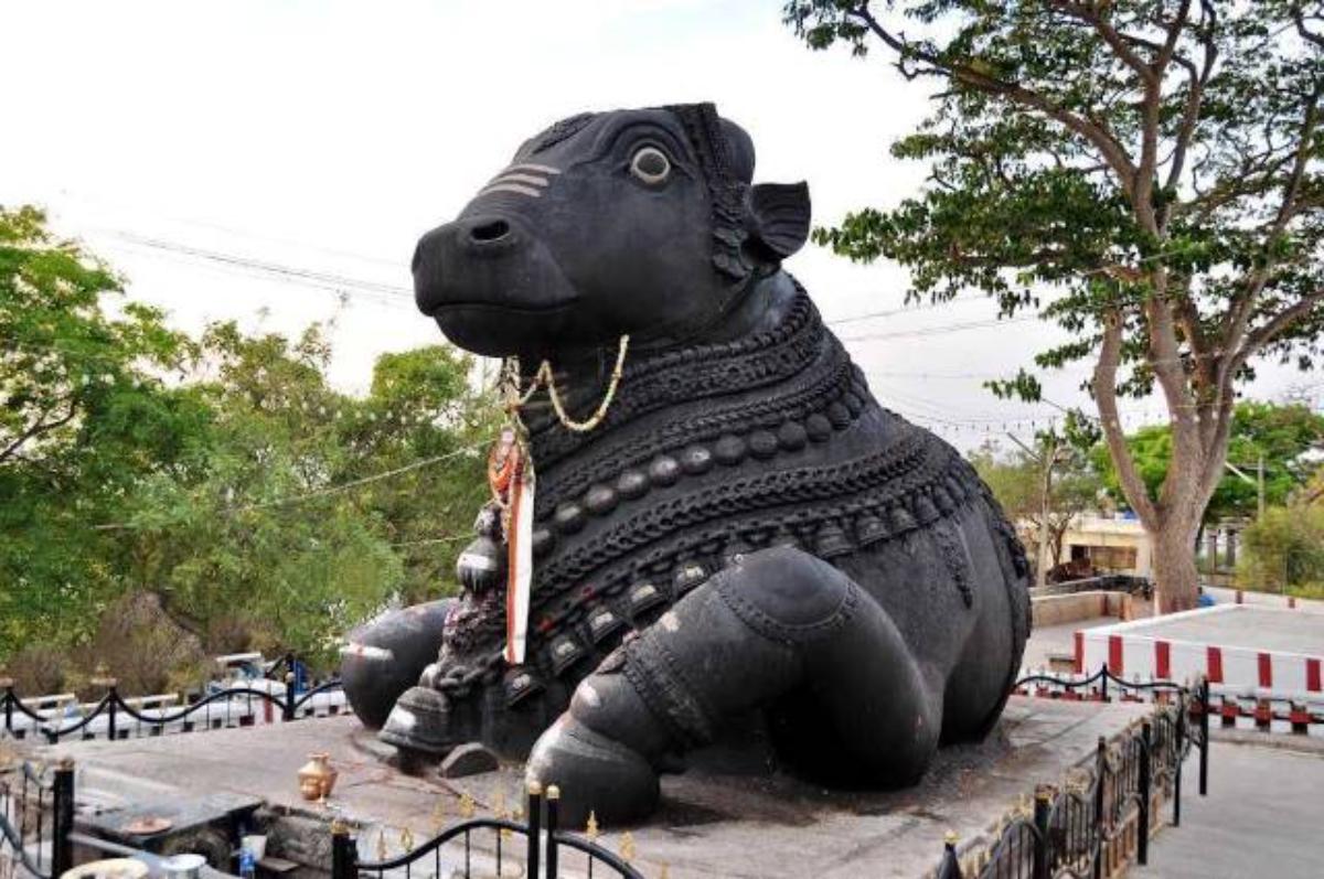 Read more about the article Bull Temple – Bangalore