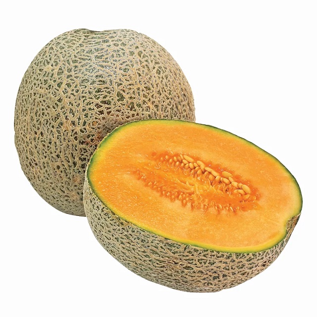 Cantaloupe Musk Melon