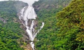 Dudhsagar Waterfalls – Goa