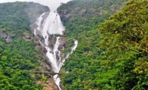 Read more about the article Dudhsagar Waterfalls – Goa