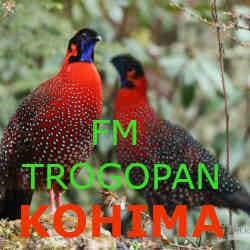 fm tragopan kohima - ShriLahari.Com fm tragopan kohima