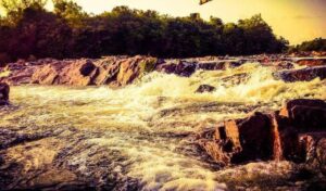 Read more about the article Haladi River – Kundapur
