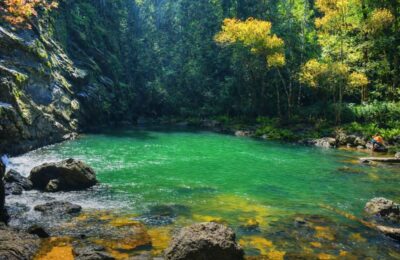 Jogi Gundi Falls Serene Forest Agumbe Travel Places
