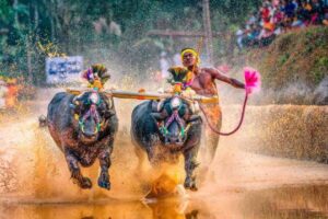 Kambala Kambulashrinivas Gowda Karnataka