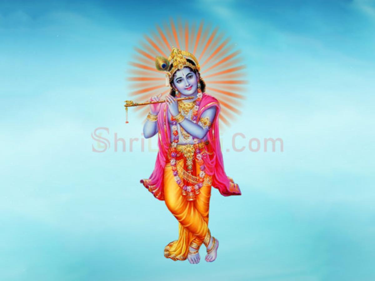 Krishna Avatar Vishnu Eighth Incarnation