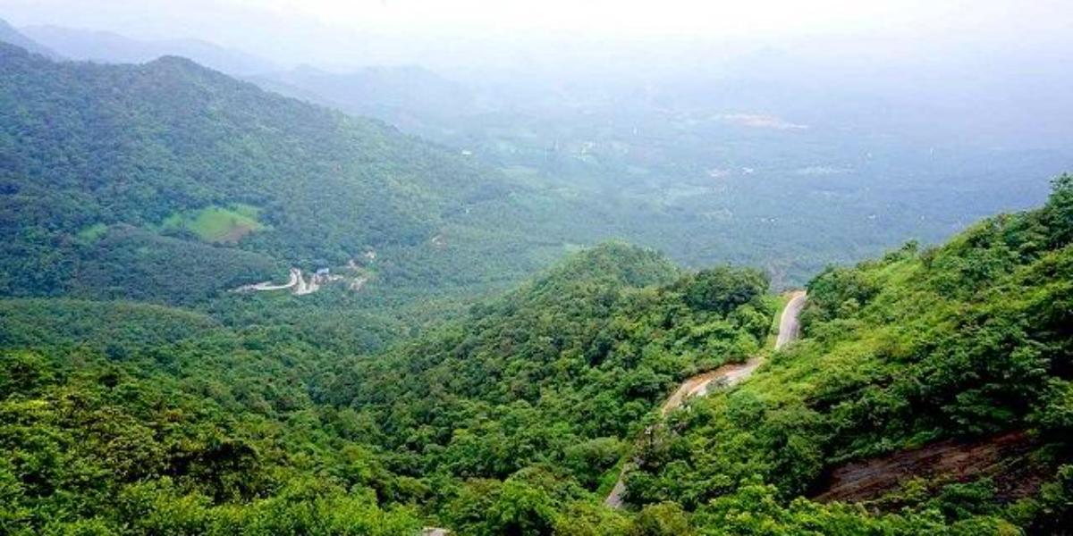 Lakkidi Wayanad Kerala