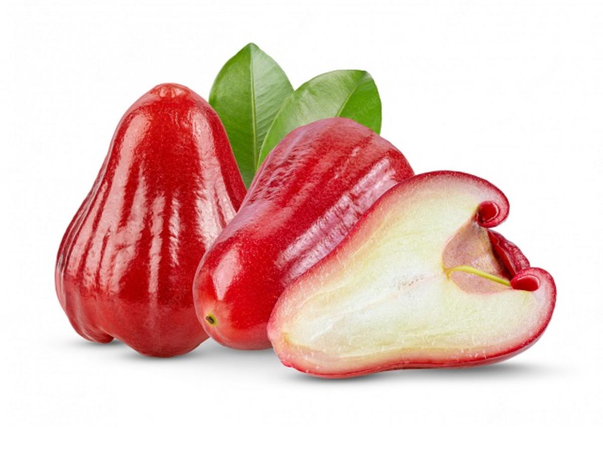 Malay Apple