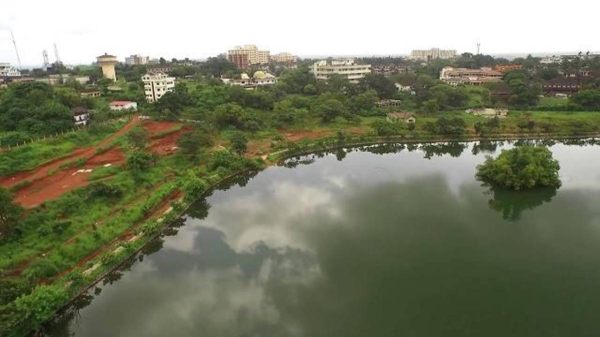 Mannu Palla Lake Ariel View