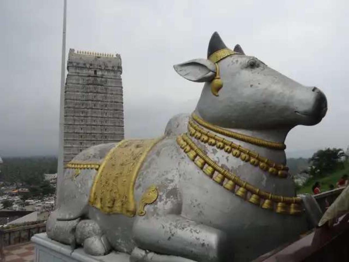 Murudeshwara Temple Nandi