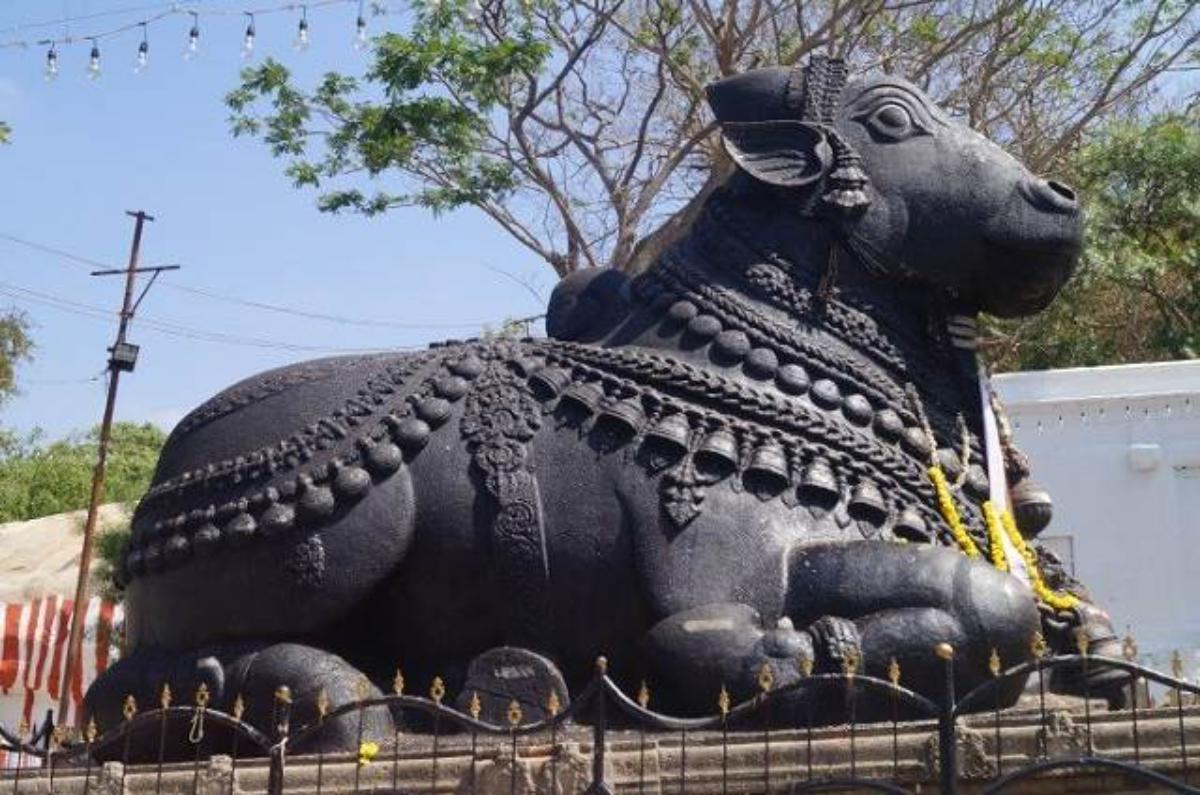Nandi Bull Shri Chamundeshwari Temple Mysore