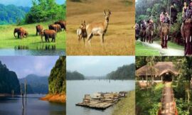 Periyar Wildlife Sanctuary – Kerala