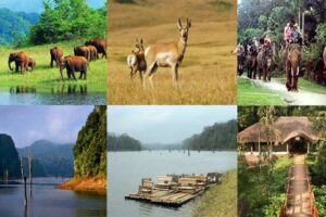 Periyar Wildlife Sanctuary