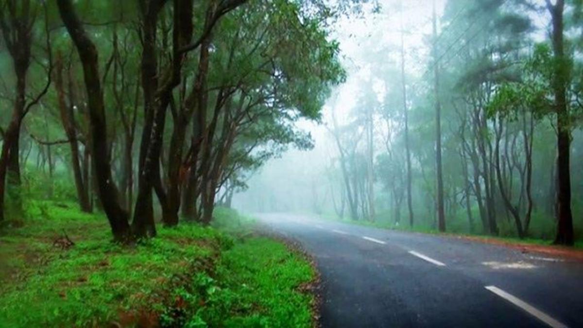 Ponmudi Hill Station Road