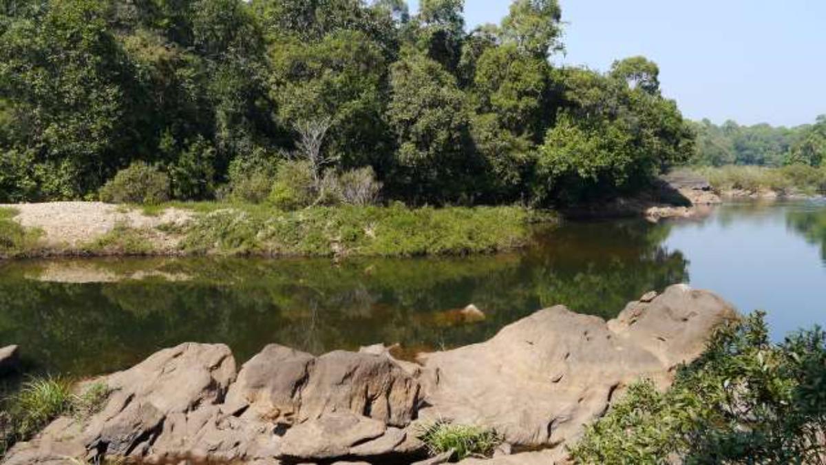 Read more about the article Sita River – Hebri