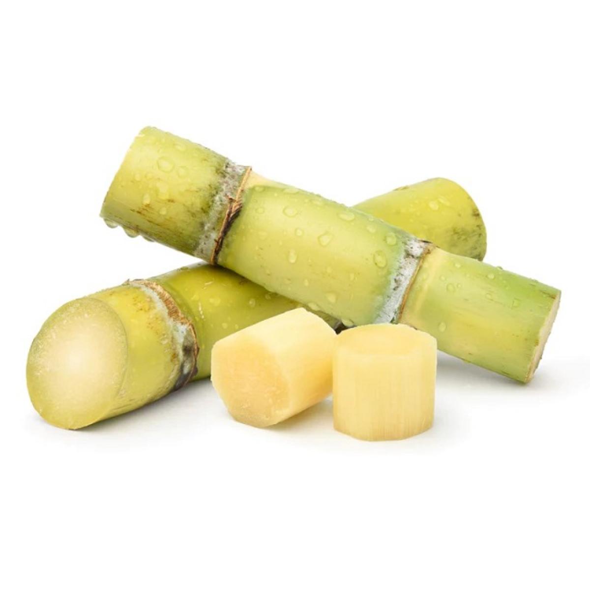 Sugar Cane