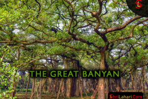 The Great Banyan Tree