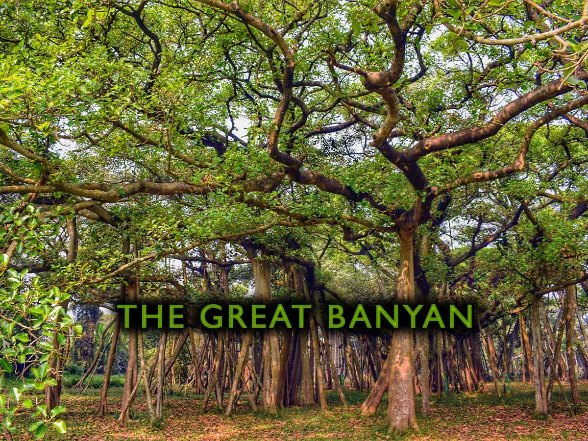 The Great Banyan - Shibpur, Howrah - ShriLahari.Com