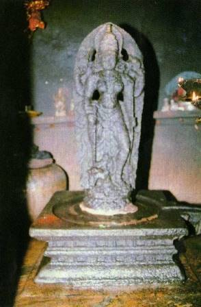 Vishwa Roopa Darshana