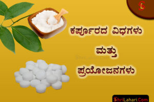 ಕರ್ಪೂರ ವಿಧಗಳು ಪ್ರಯೋಜನಗಳು