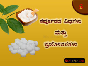 ಕರ್ಪೂರ ವಿಧಗಳು ಪ್ರಯೋಜನಗಳು