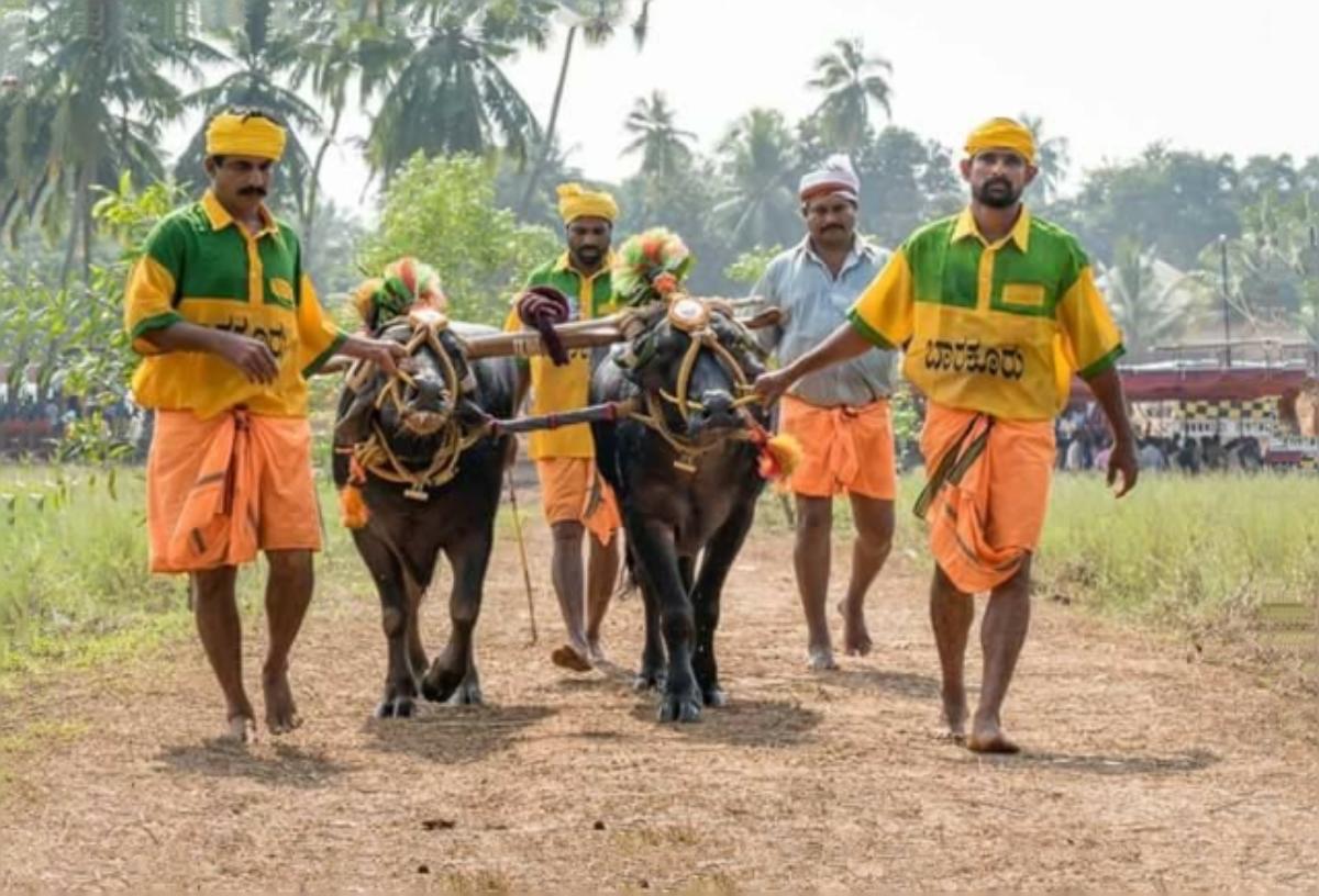 Read more about the article ಕಳ ಕಂಬುಳ