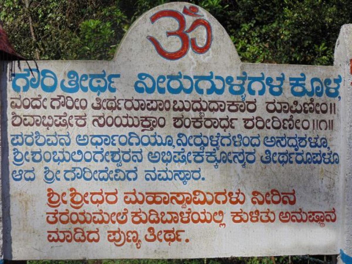 ಗೌರಿತೀರ್ಥ ನೀರುಗುಳ್ಳೆಗಳ ಕೊಳ 1